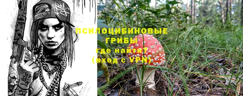 Псилоцибиновые грибы Psilocybine cubensis  ссылка на мегу маркетплейс  Зима 